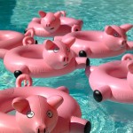 jeu de piscine - bouée enfant Piggy