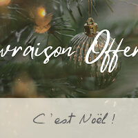 Livraison Offerte* pour Noël !